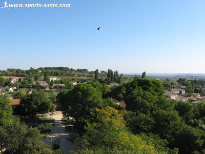 Promenade jusqu'à la Chapelle Saint-Roch à Tourbes Hérault
