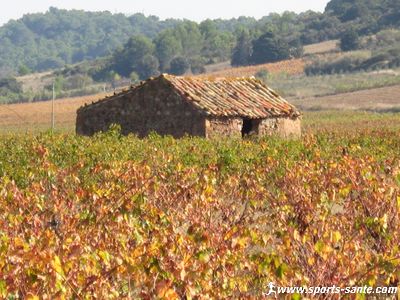 Cruzy au coeur des vignes dans l'Hérault en Languedoc-Roussillon
