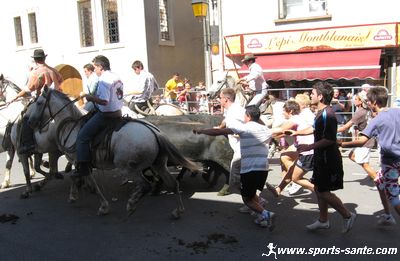 Photo de féria dans le sud de la France
