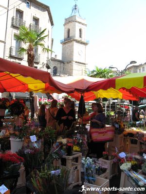 photo de fleuriste au pied de la Collégiale Saint-Jean