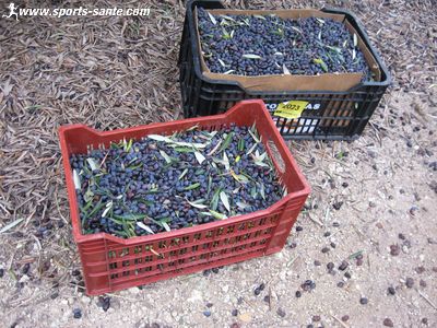 Caisses d'olives