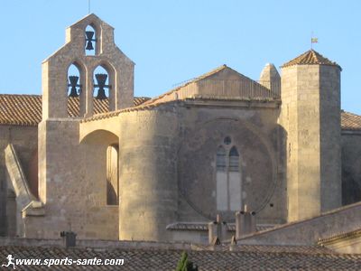 Photo clocheton abbaye de Valmagne