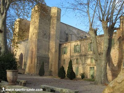 Abbaye de Valmagne, cathédrale des vignes, Hérault Languedoc