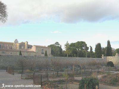 Photo jardin Botanique