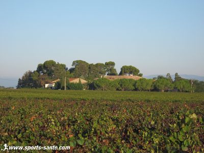 Photo de la campagne à Montblanc