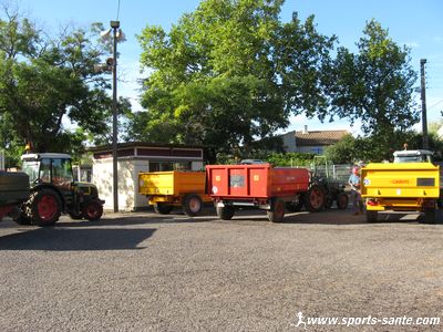 Photo de bennes à raisins