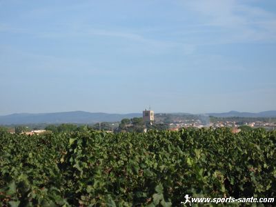 Vendanges à Montblanc Hérault en Languedoc Roussillon