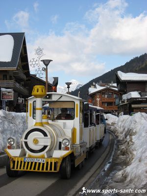 Photo du petit train des Gets