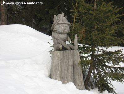 Photo de sculpture d'elfe en bois