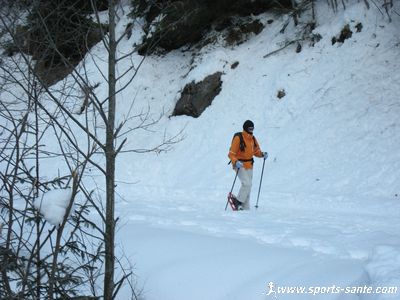 Marche en raquettes