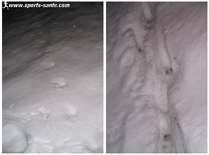 Image de traces d'animaux dans la neige