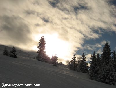 Photo de sapins enneigés