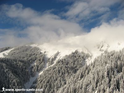 Photo forêt du Mont Jovet