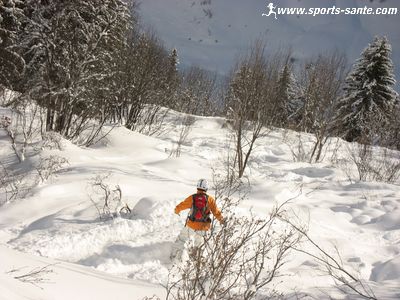 Photo de snow en forêt