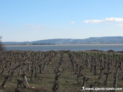 Photo du vignoble de Bages