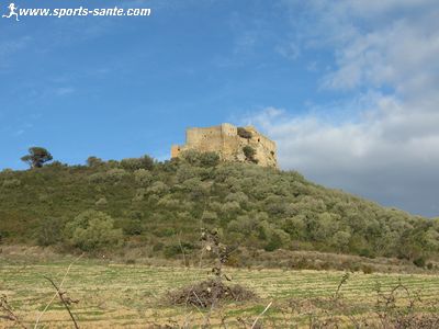 Vue du château de Toques dans l'Aude
