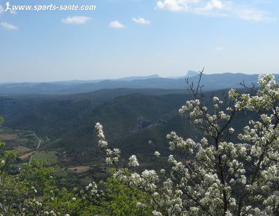 Panorama jusqu'au Pic St Loup et Hortus