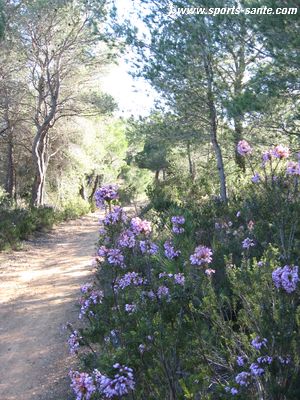 Photo de la voie domitia à Pinet