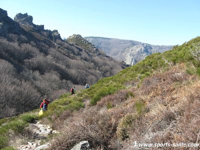 Paysage de l'Espinouze vers le col de l'Ourtigas dans l'Hérault