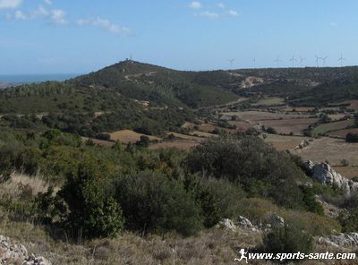 Photo du vignoble de Feuilla