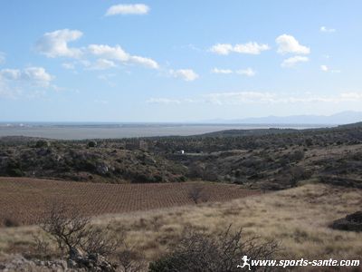 Photo du vignoble de Fitou sur fond du massif des Albères