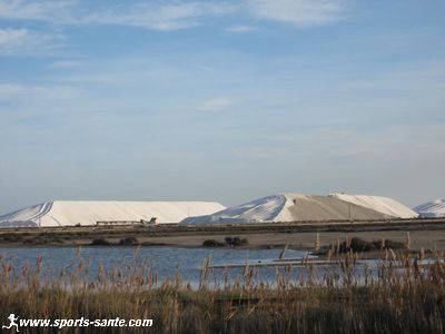 Photo des marais salants de Camargue