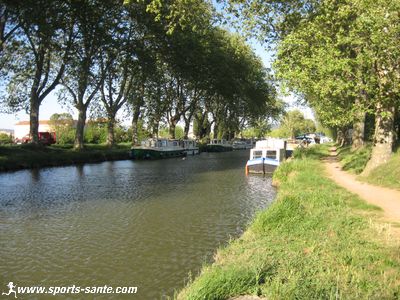 Visiter le village de Homps et le port de plaisance fluviale, découverte des paysages du Minervois