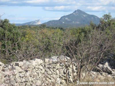Photo de l'Hortus et du Pic Saint-Loup depuis les drailles de Viols-le-Fort