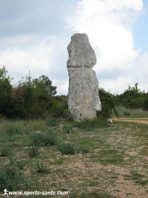 Photo d'un menhir près de saint-Jean-de Buèges