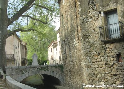 Photo du Pont des Platanes à Saint-Jean-de-Buèges
