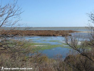 Photo de l'étang de la Palme et flamants roses