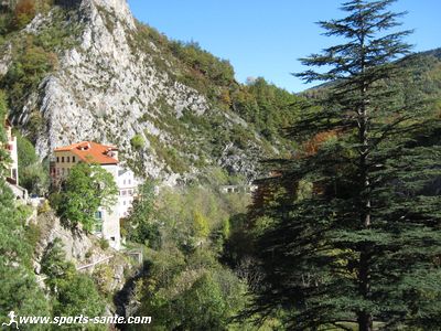 Photo des alentours de La Preste-les-Bains