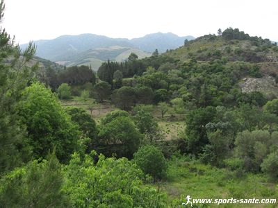 Paysage de la Vallée de La Roume à Banyuls sur mer