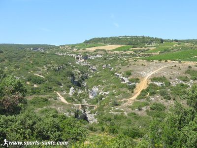 Paysage du haut Minervois