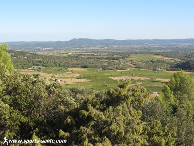 Photo du vignoble de Montpeyroux dans l'Hérault
