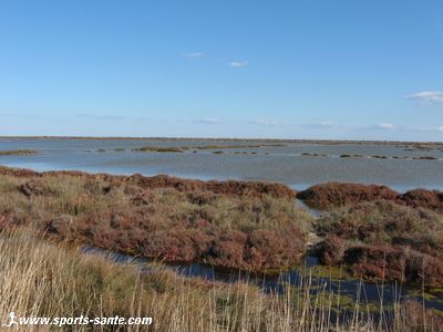 Photo des salins de Sainte-Lucie à Peyriac d'Aude