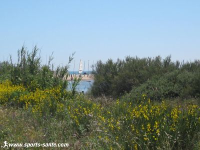 Photo des dunes à Portiragnes en Languedoc