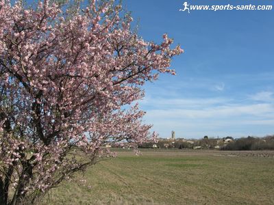 Photo du printemps à Montblanc dans l'Hérault