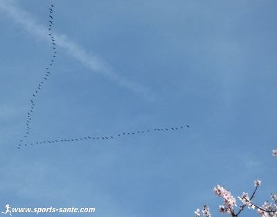 Arrivée du printemps en Languedoc Roussillon