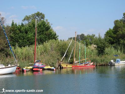 photo des berges de l'Hérault près d'Agde