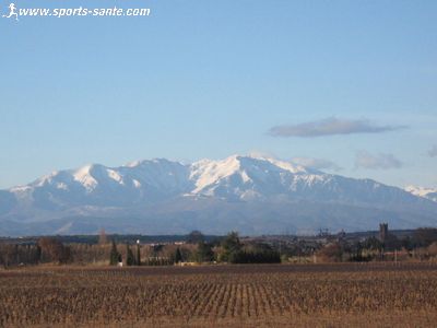 Rivesaltes (66600), capitale des vins muscat du Roussillon