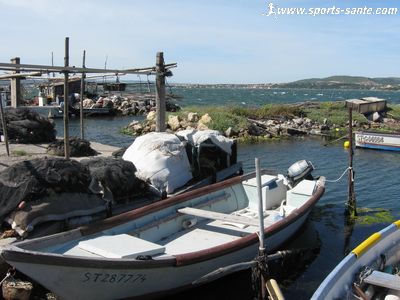 Photo des barques de Pointe Courte à Sète