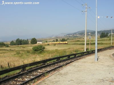 Photo de Train jaune arrivant à Bolquère