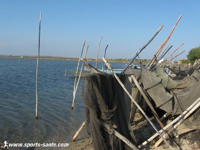 Photo de filets et de nasses sur l'étang de Vic la Gardiole en Languedoc