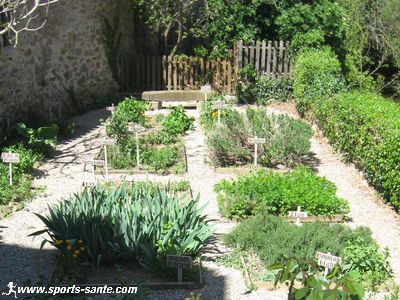 Photo du Jardin des simples à Villerouge-Termenès