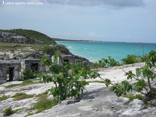Paysage de Tulum