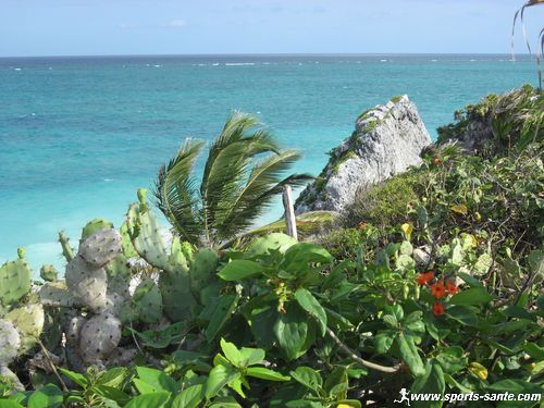Image de végétation luxuriante et mer turquoise à Tulum