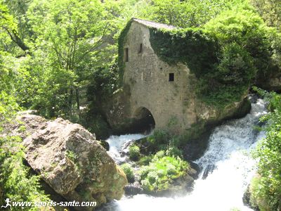 Photo de la vis en résurgence à la Foux