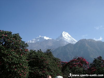 photo des Annapurnas IV et II