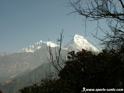 photo de la chaine de l'himalaya
